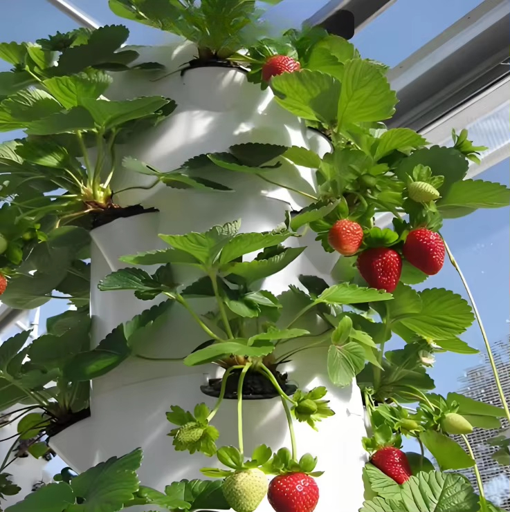 Modüler hidroponik büyüme duva - Urban Farming Hydroponics incelemesi ve fiyatı