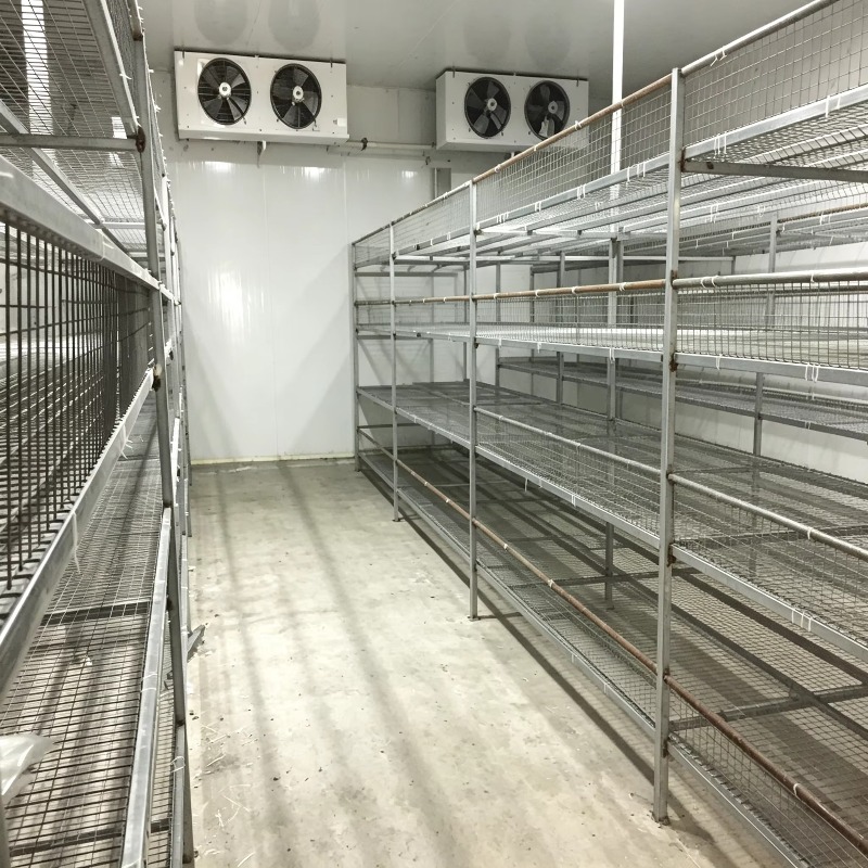 Otomatik Sulama Sistemli Hidro - Urban Farming Hydroponics incelemesi ve fiyatı